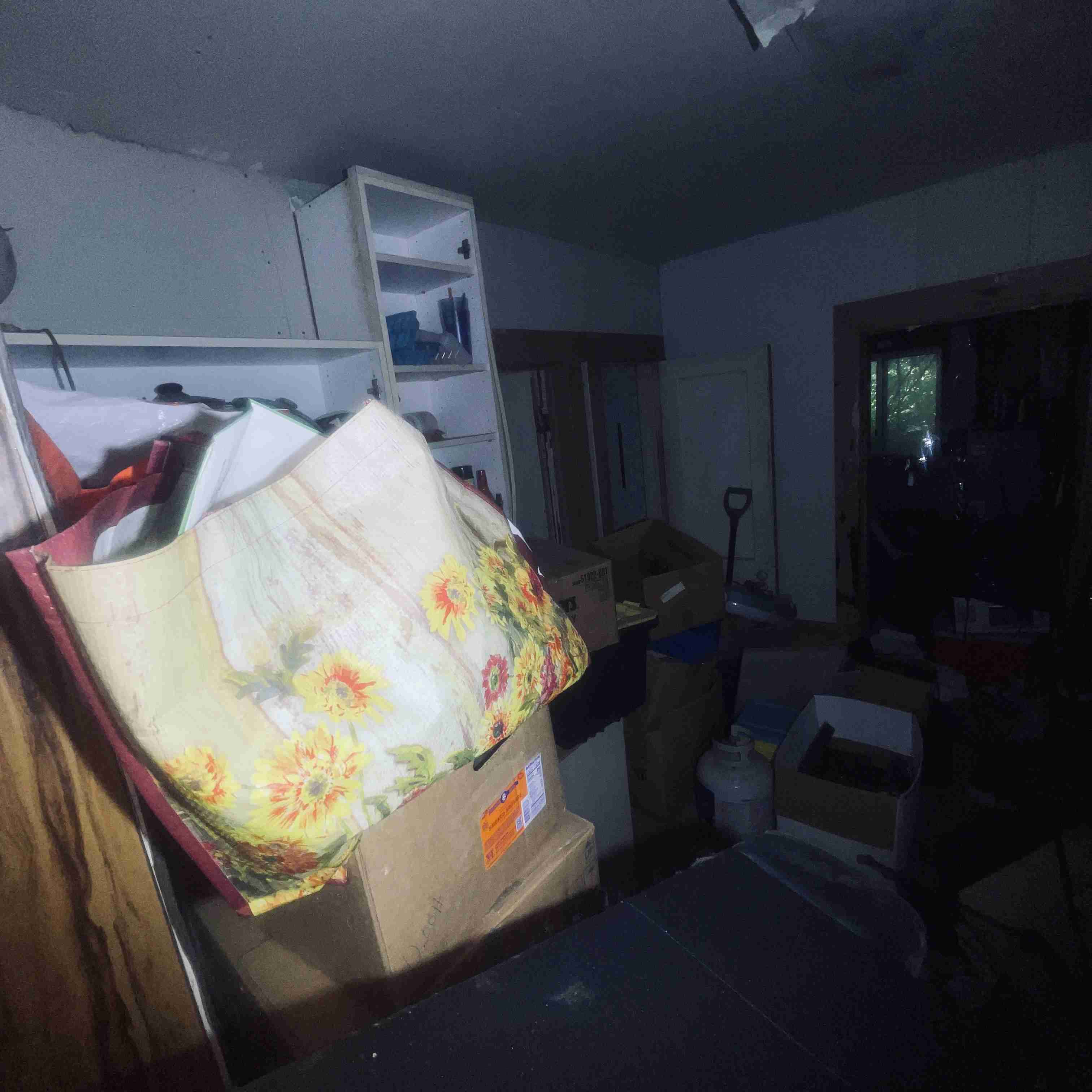 7528 Sarena (40).jpg